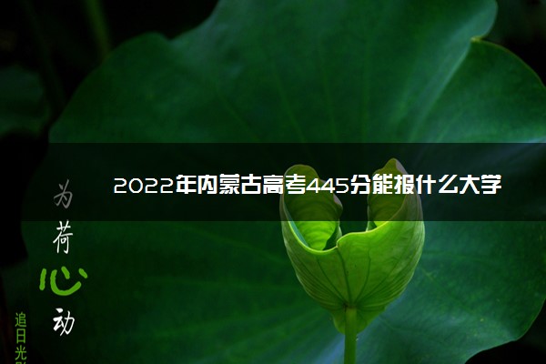 2022年内蒙古高考445分能报什么大学 445分能上哪些院校