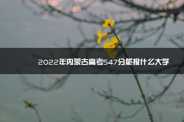 2022年内蒙古高考547分能报什么大学 547分能上哪些院校