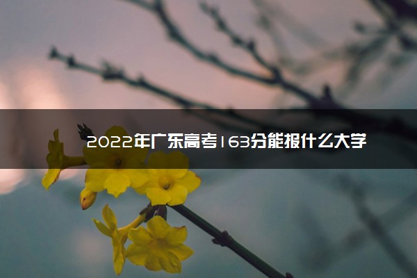 2022年广东高考163分能报什么大学 163分能上哪些院校