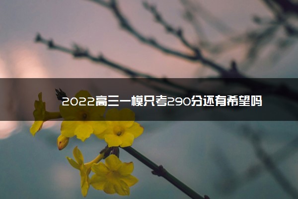 2022高三一模只考290分还有希望吗 怎么提分