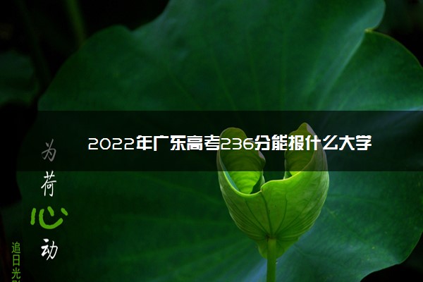 2022年广东高考236分能报什么大学 236分能上哪些院校