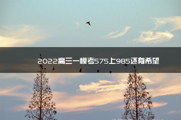 2022高三一模考575上985还有希望吗