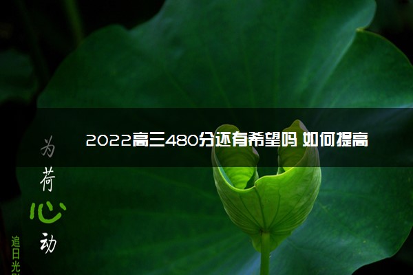 2022高三480分还有希望吗 如何提高分数