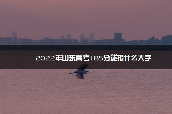 2022年山东高考185分能报什么大学 185分能上哪些院校