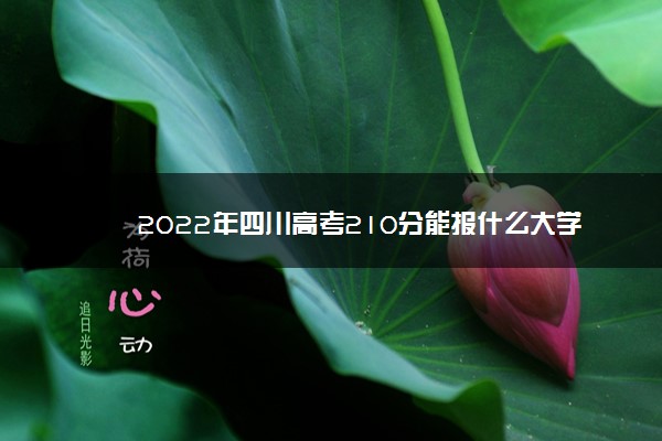 2022年四川高考210分能报什么大学 210分能上哪些院校