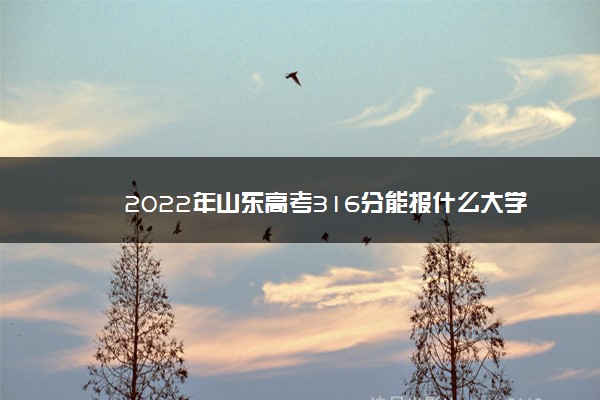 2022年山东高考316分能报什么大学 316分能上哪些院校