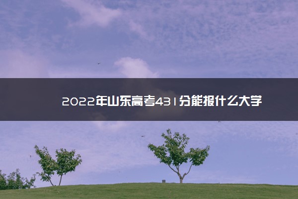 2022年山东高考431分能报什么大学 431分能上哪些院校