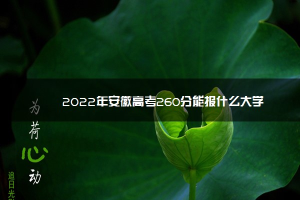 2022年安徽高考260分能报什么大学 260分能上哪些院校