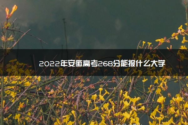 2022年安徽高考268分能报什么大学 268分能上哪些院校