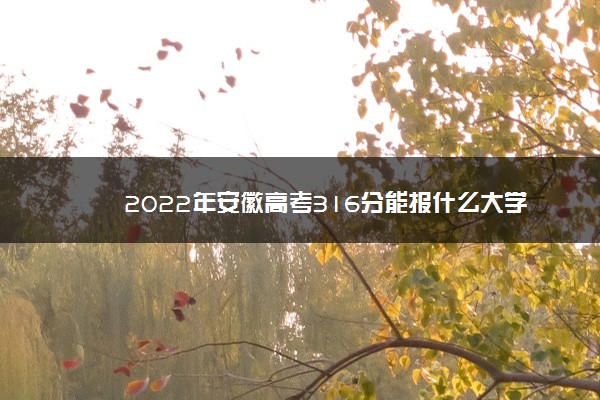 2022年安徽高考316分能报什么大学 316分能上哪些院校