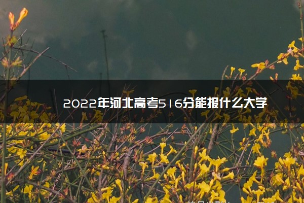 2022年河北高考516分能报什么大学 516分能上哪些院校