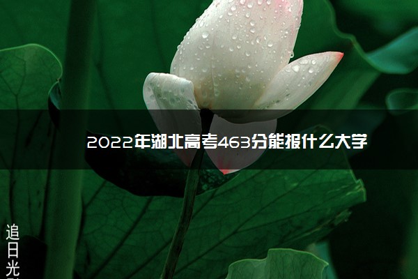 2022年湖北高考463分能报什么大学 463分能上哪些院校