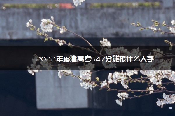 2022年福建高考547分能报什么大学 547分能上哪些院校