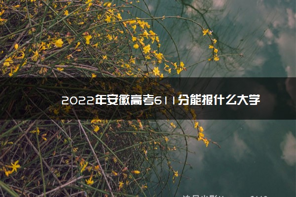 2022年安徽高考611分能报什么大学 611分能上哪些院校