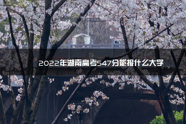 2022年湖南高考547分能报什么大学 547分能上哪些院校