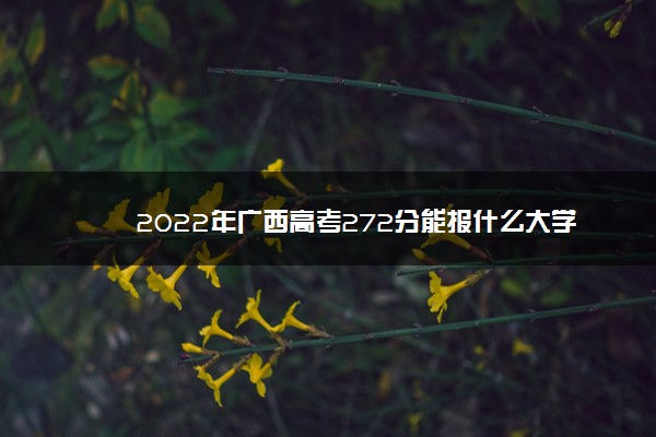 2022年广西高考272分能报什么大学 272分能上哪些院校