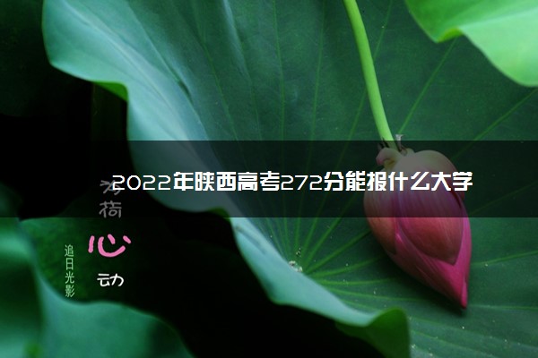 2022年陕西高考272分能报什么大学 272分能上哪些院校