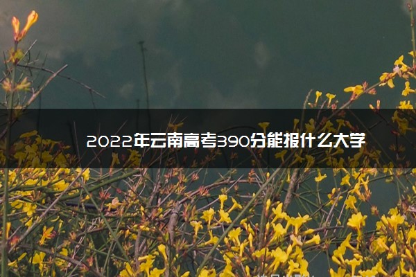 2022年云南高考390分能报什么大学 390分能上哪些院校