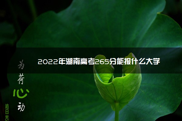 2022年湖南高考265分能报什么大学 265分能上哪些院校