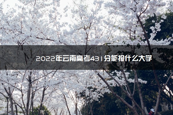 2022年云南高考431分能报什么大学 431分能上哪些院校