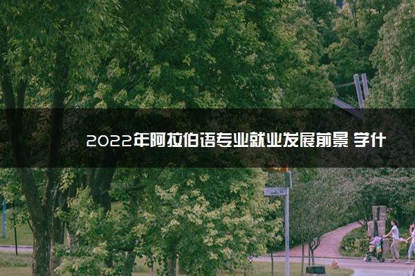 2022年阿拉伯语专业就业发展前景 学什么课程