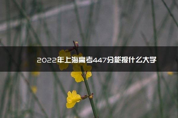 2022年上海高考447分能报什么大学 447分能上哪些院校