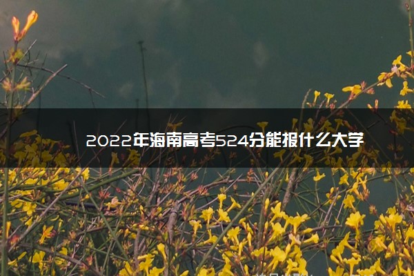 2022年海南高考524分能报什么大学 524分能上哪些院校