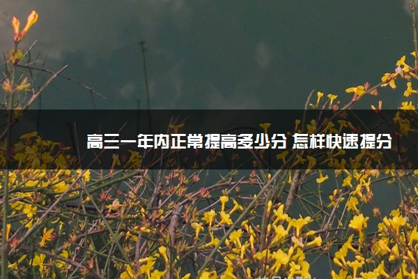 高三一年内正常提高多少分 怎样快速提分