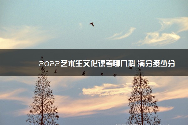 2022艺术生文化课考哪几科 满分多少分