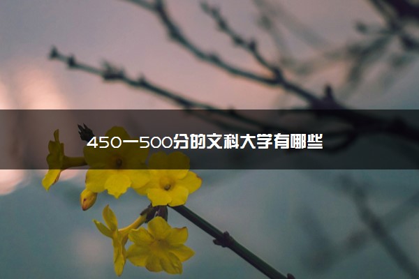 450一500分的文科大学有哪些