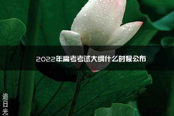 2022年高考考试大纲什么时候公布