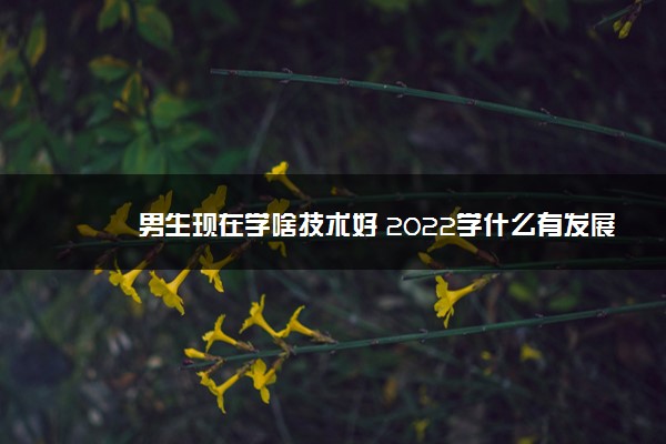 男生现在学啥技术好 2022学什么有发展