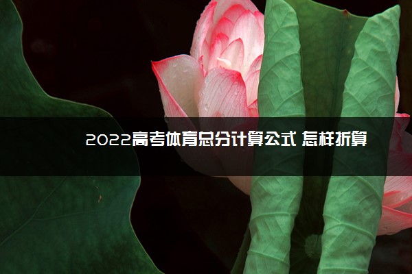 2022高考体育总分计算公式 怎样折算