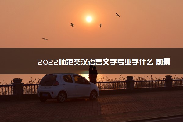 2022师范类汉语言文学专业学什么 前景怎么样