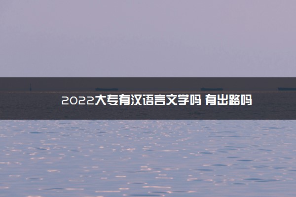 2022大专有汉语言文学吗 有出路吗