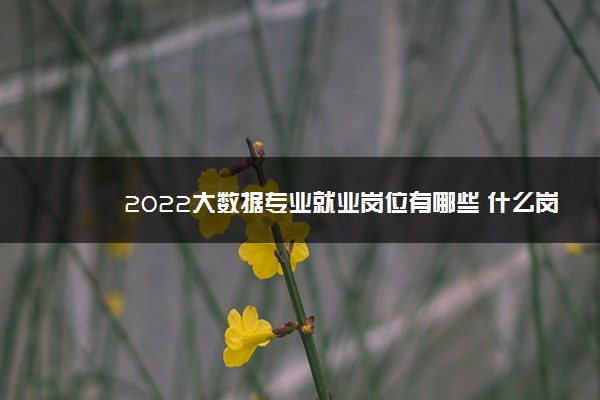 2022大数据专业就业岗位有哪些 什么岗位挣钱多