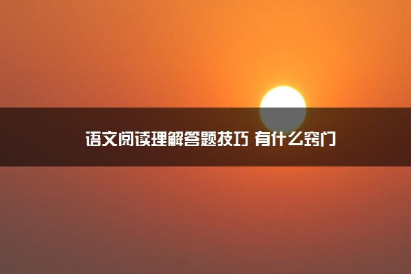 语文阅读理解答题技巧 有什么窍门