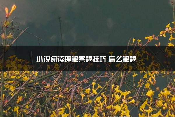 小说阅读理解答题技巧 怎么解题