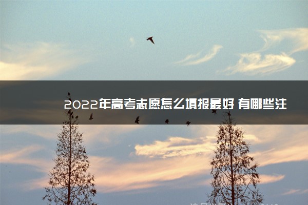 2022年高考志愿怎么填报最好 有哪些注意事项