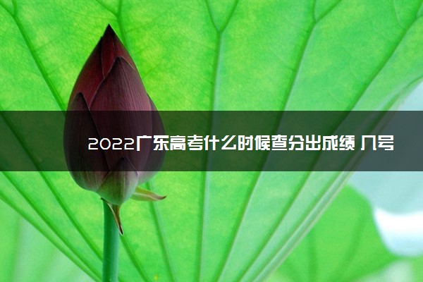 2022广东高考什么时候查分出成绩 几号几点可以查询