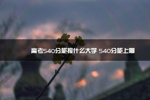 高考540分能报什么大学 540分能上哪些院校