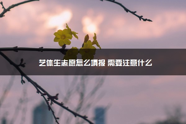 艺体生志愿怎么填报 需要注意什么