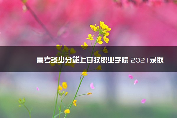 高考多少分能上甘孜职业学院 2021录取分数线是多少