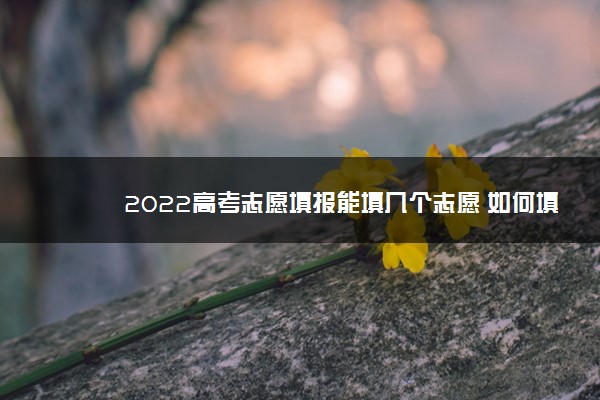 2022高考志愿填报能填几个志愿 如何填报