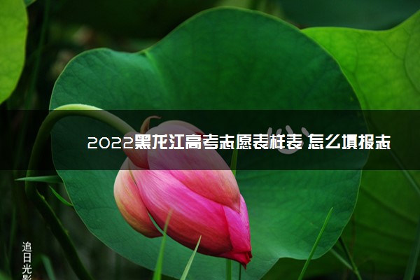 2022黑龙江高考志愿表样表 怎么填报志愿