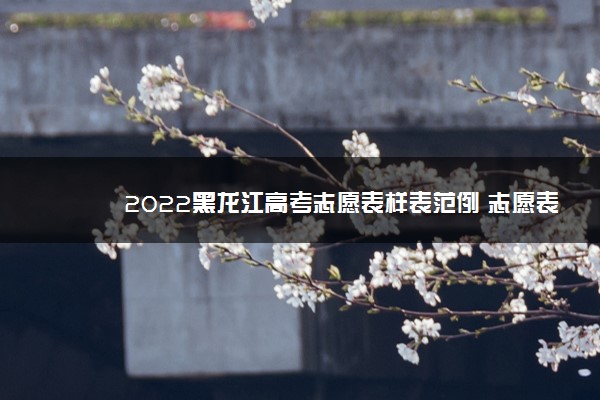 2022黑龙江高考志愿表样表范例 志愿表什么样