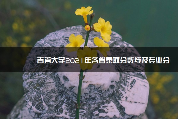 吉首大学2021年各省录取分数线及专业分数线 文理科最低位次是多少