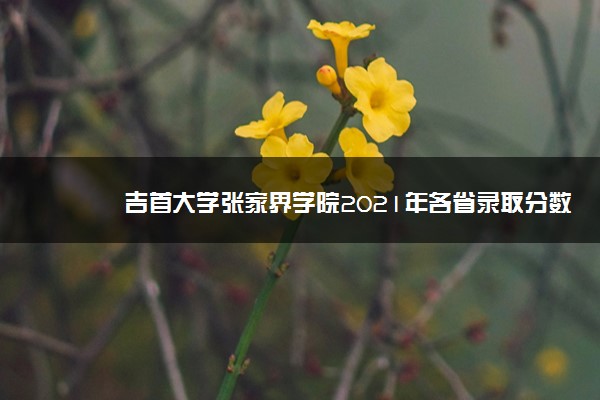 吉首大学张家界学院2021年各省录取分数线及专业分数线 文理科最低位次是多少