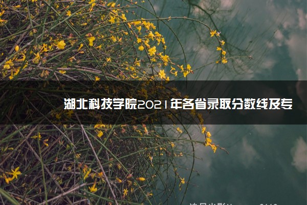 湖北科技学院2021年各省录取分数线及专业分数线 文理科最低位次是多少