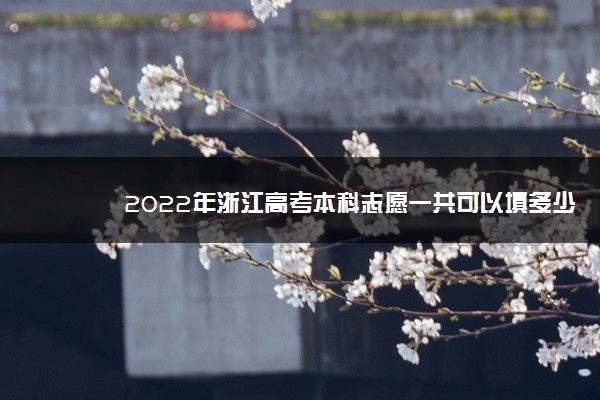 2022年浙江高考本科志愿一共可以填多少个学校